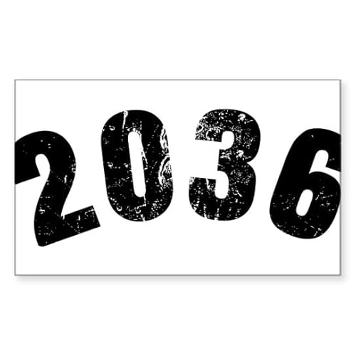 CafePress 2036 Year Vintage Sticker Rectangle Bumper Sticker Car Decal