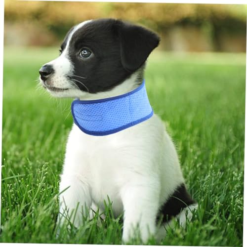 Collier de chien refroidissement et dissipation de chaleur respirant - 8