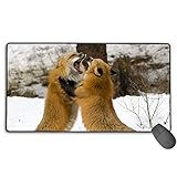 fox fight handschuhe erfahrung Hergestellt aus strapazierfähigem, hitzebeständigem Polyestergewebe, einfache Reinigung und Wartung.