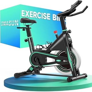 DMASUN Exercise Bike for Home Gym Use with LCD Display & Tablet Holder, Silent 0-100% Level Resistance Indoor Cycling Bike, Professional Stationary Bike with Comfortable Seat, 350/360LBs Capacity
