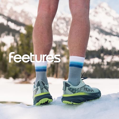 Image of Feetures Merino 10 Cushion Quarter Sock Stripe