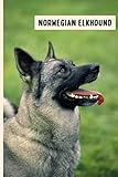 Photo Gallery norwegian elkhound: composition notebook for norwegian elkhound lovers , norwegian elkhound lined journal ,6x9 inches , 110 pages ,norwegian elkhound diary Photo Gallery norwegian elkhound: composition notebook for norwegian elkhound lovers , norwegian elkhound lined journal ,6x9 inches , 110 pages ,norwegian elkhound diary
