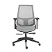 Euro Style Vahn Office Chair, Gray Mesh
