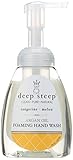 Deep Steep Argan Oil Foaming Hand Wash, Tangerine Melon, 8 Fluid Ounce
