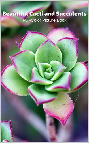 Télécharger Beautiful Cacti and Succulents Full-Color Picture Book: Flower Picture Book Flowers Nature Gardening Francais PDF