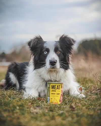 JOSERA Meat Lovers Menu Chicken with Carrot (6 x 800 g) | Adult | Premium Nassfutter für ausgewachsene Hunde | Huhn mit Karotte - mit viel Fleisch (65%) | weizenfrei | Hundefutter nass | 6er Pack