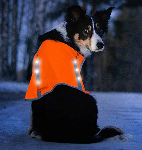 Illumiseen Led Dog Hunting Vest | Orange Safety Jacket With Reflective Strips & Usb Rechargeable Led Lights | Increase Dog’s Visibility When Walking, Running, Training Outdoors (X-Small, Orange) #TOP1