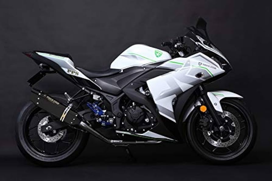 Amazon.co.jp: トリックスター(TRICK STAR) スリップオンマフラー