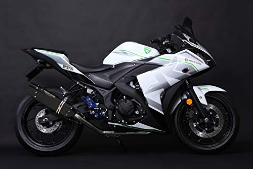 YZF-R25 トリックスター マフラー r25 スリップオン トリックスター / YZF-R25（25）政府認証スリップオンマフラーIKAZUCHI