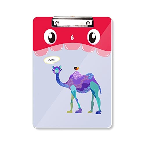 Bloc-notes A4 l'oiseau bleu camel avec dossier à tête plate pour l'apprentissage