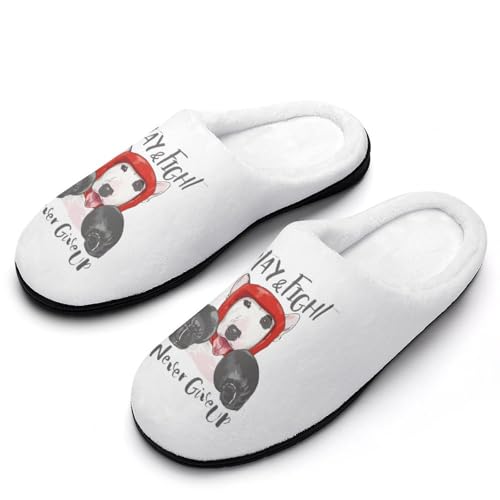 [STEBVI] Xbp  ueA {NVO [V[Y  nEXXbp  Y fB[X  ~ g 􂦂 qp p jp v[g