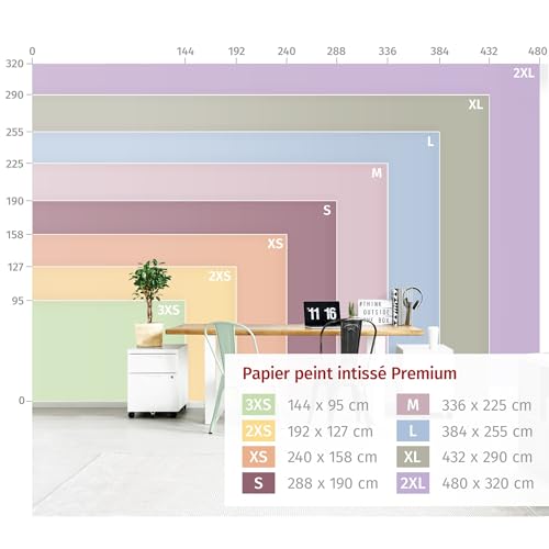 Papier peint panoramique inodore et résistant pour rénover un mur de salon - 5