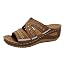 Dark Brown 02