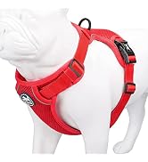 Amazon | PoyPet ソフト通気性メッシュ犬ハーネス 調節可能な首輪と胴