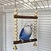 Barn Eleven Bird Hook Swing with Bell Toys, Hanging Stand Swing, Double Layer Wooden Perch Swing for Small Bird and Parrot (Large)