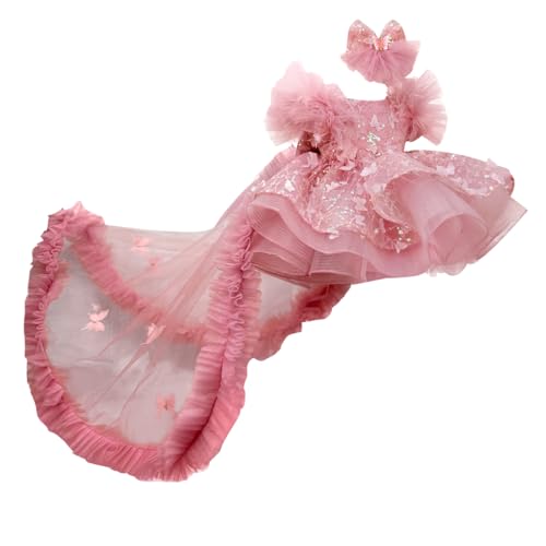 KLFFLGID Baby Flower Girl Pageant Dress Butterfly Embroidered Sequin lace Toddler Formal Wedding Party Dress 6M-6T