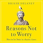 Cover of Reasons Not to Worry