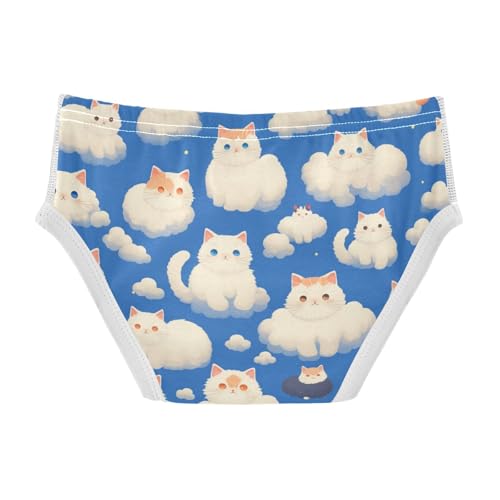 KLL Cats with Cute Clouds Pattern with blue Little Boys Pure Cotton Nighttime Underwear Cute Children Panties2