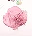 Z and X Organza Church Fascinator Kentucky Derby Hats for Women Flower Wedding Tea Party Hat Wide Brim Sun Hat Pink,purple,One Size