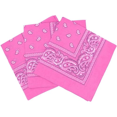 Carnavalife Pañuelos Bandanas Paisley de Algodón 55x55cm