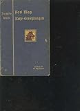  karl May illustrierte Reise-Erzählungen, durch die Wüste, Band 1, Fehsenfeld 1908 6.-10. Tausend, 518 Seiten, hinterer Einbanddeckel lose, innen gute Erhaltung