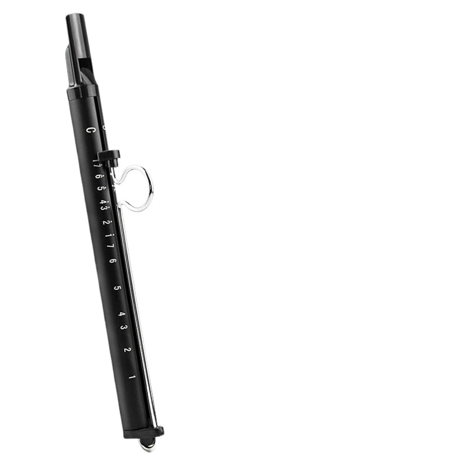 Flauto A Pistone Flauto a scala bicolore scorrevole Fischio ad aria compressa Tema Pull-Flauto Principiante adulto Strumento Educazione Musicale(Black)