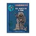Spacemaster: Blaster Law (Space Master, 3rd Edition)