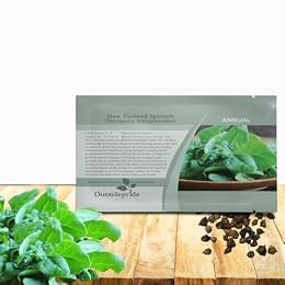 Outsidepride New Zealand Spinach Seeds - 200 Pcs. Annual, Humid & Heat-Tolerant, Nutrient-Rich Herb Seeds for Planting Edible Vegetables, Ideal for Cooking & Edible Landscaping