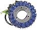 ElectroSport Stator