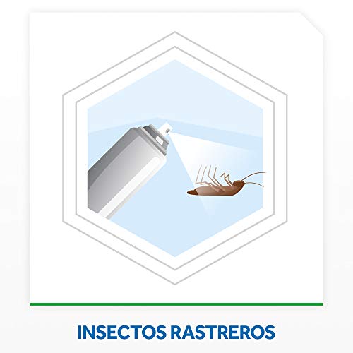 Miniatura 4 de Raid Insecticida Multi-Insectos, Para Todo Tipo De Insectos, Eficacia Inmediata, 1 Aerosol 400ml