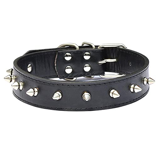 PET WORLD Leather Dog Collar-52 (B09F391V8R) Amazon Price History, Amazon Price Tracker