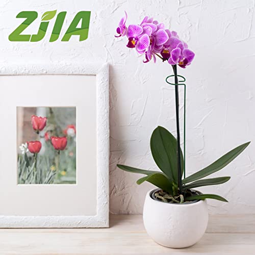 Zjia 24 Inches Single Stem Plant Support Stakes Steel Garden Stakes, Pack Of 10 #TOP3