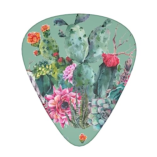 Médiator chic exotique cactus 12 médiators tendance et durables dans une boîte pour ukulélé guitare électrique basse - Les Beatles, Paul McCartney, John Lennon, RIngo Starr, George Harrison Médiator chic exotique cactus 12 médiators tendance et durables dans une boîte pour ukulélé guitare électrique basse
