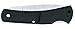 W.R. Case & Sons Cutlery 00156 Small Caliber Lockback knife