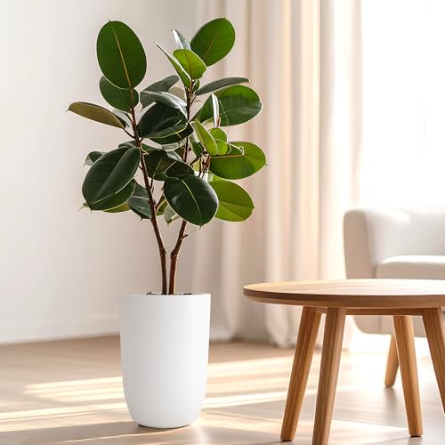 Image of YUCCABE ITALIA FOXB TPC 14 INCH Pots for Plants Highly Durable Polymers Lightweight Indoor Outdoor Plant Pots, Flower Pot Gamla Tree Planter Container Planters for Living Room, Balcony, Garden