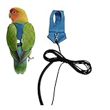 Bird Harness- Escape Proof Flying Training Rope, Parakeet Traction Straps, Safe Avian Vest, Comfortable Chest Protection, Outdoor Walking Gear, Secure Pet Travel System | For Trainers