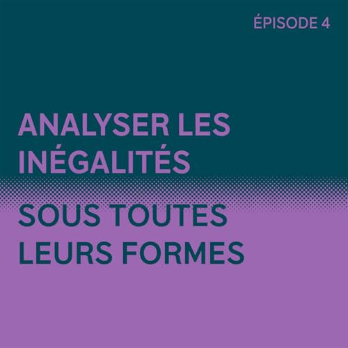 Analyser les in&eacute;galit&eacute;s sous toutes leurs formes