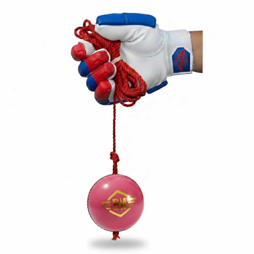 Pink Cricket Hanging Leather Practice Ball Set of 1-image-43