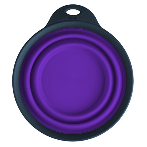 Dexas Popware for Pets Collapsible Travel Cup, Small, Gray/Purple