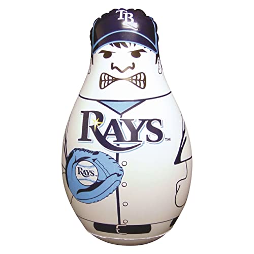 Fremont Die Rays Mini Bop Bag 65630
