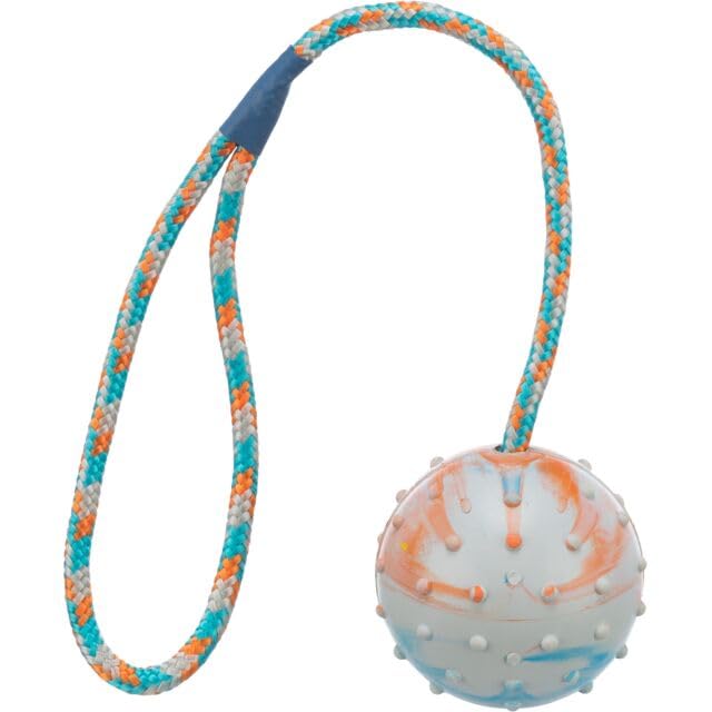 TRIXIE Natural Rubber Ball on a Rope Dog Toy (B00BJMKWO2) Amazon Price History, Amazon Price Tracker