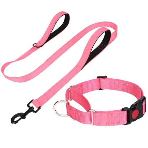 FunTags Neon Pink Martingale Collar & Leash for Small Dogs