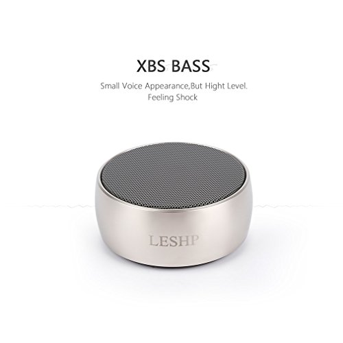 leshp  Bluetooth 4.0 schnurloser Lautsprecher mit Mikrofon für Freisprecheinrichtung, tragbar, metallic, 3,5 mm AUX IN, TF Karte (Micro SD) gold