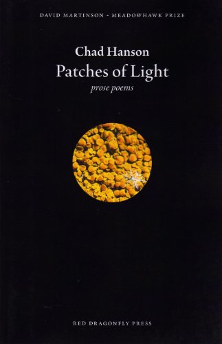 Patches of Light 193769349X Book Cover