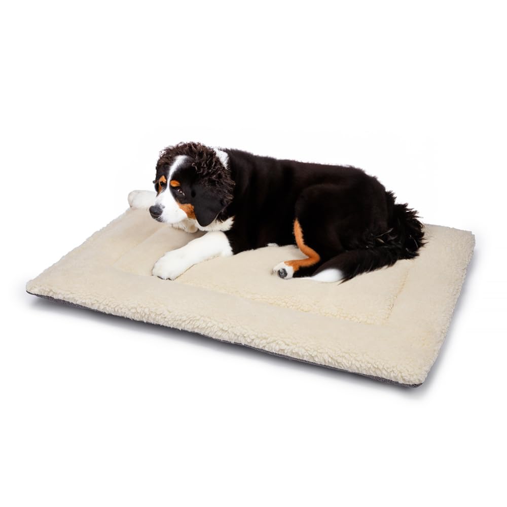 Lit pour chien en laine britannique grand format 106 x 71 cm avec coussin matelassé lavable en tweed