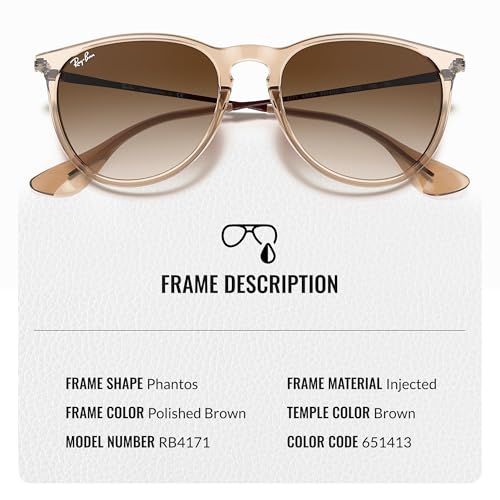 Ray-Ban RB4171 ERIKA COLOR MIX Phantos Shaped Sunglasses for Men & Women with Official RAYBAN Eyewear Kit3