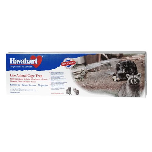 Havahart 1089 Collapsible One-Door Live Animal Cage Trap for Raccoon, Stray Cat, Groundhog, Opossum, and Armadillos