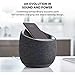 Belkin SOUNDFORM Elite Hi-Fi Smart Speaker + Wireless Charger (Alexa Voice-Controlled Bluetooth Speaker) Sound Technology By Devialet, Fast Wireless Charging for iPhone, Samsung Galaxy & More - White