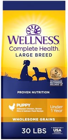 Wellness Complete Health Puppy Dry Dog Food, Large Breed, Wholeso...