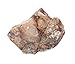 Raw Breccia, Sedimentary Rock Specimen - Approx. 1